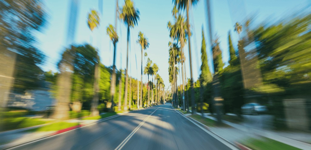 Driving a palm-lined Florida street